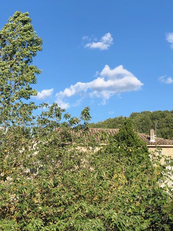Chez Marius Villa Лагорс Екстериор снимка